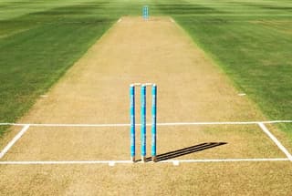 Cricket Pitch