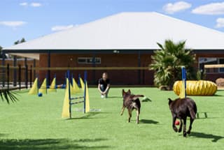 Pet Park