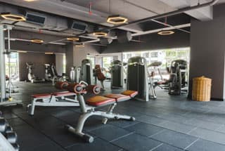 Gymnasium