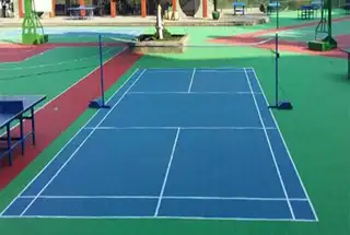Multi Purpose Sports Lawn
