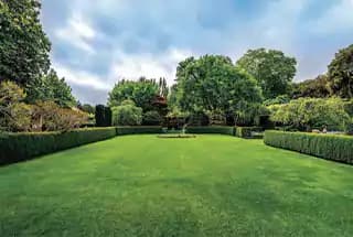 Lawn, Landscape Court